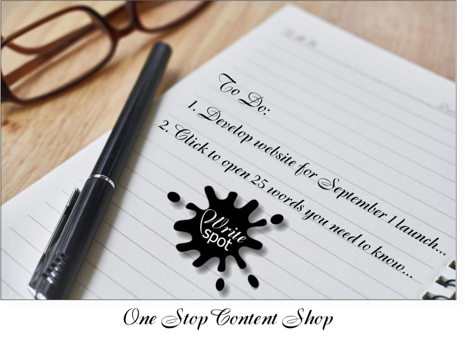 Cover Page for Write Spot in development website